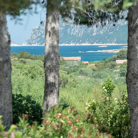 Szálloda Ollastu Olbia