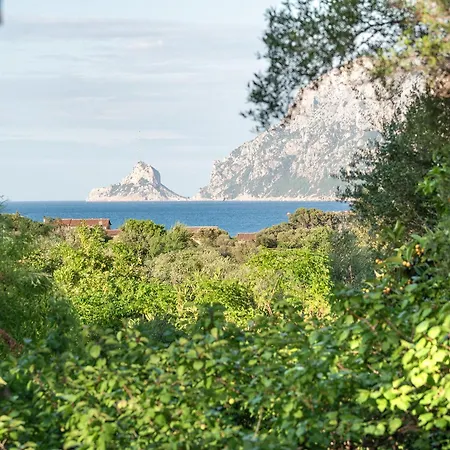 Ollastu Olbia