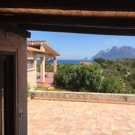 Ollastu Olbia
