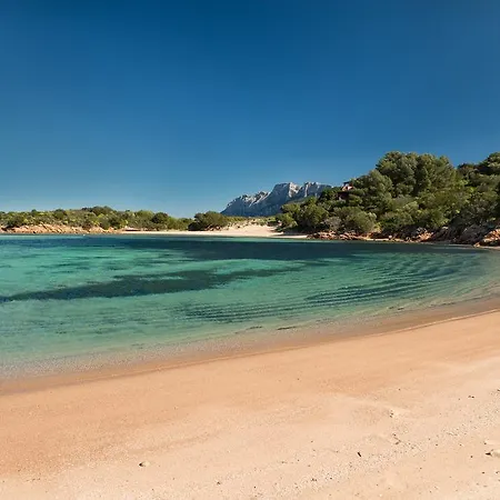Ollastu Olbia