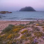 فندق Ollastu 4*