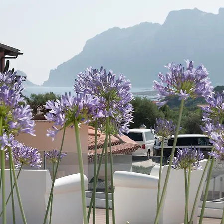 Ollastu Hotel