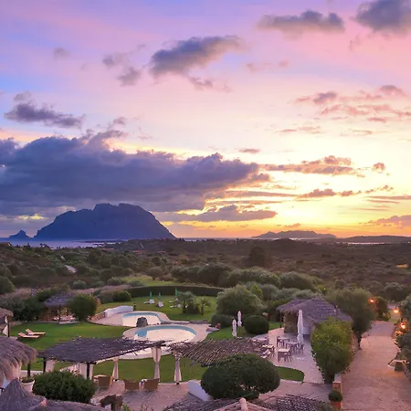 Ollastu 4* أولبيا